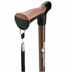 ヒューゴステッキ